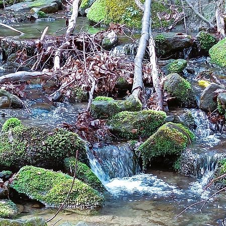 Modry Domek Szczyrk Buitenkant foto